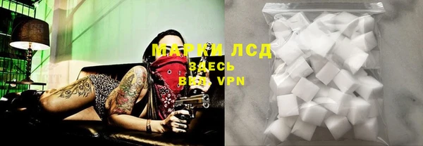 стаф Алексин