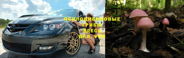 стаф Алексин
