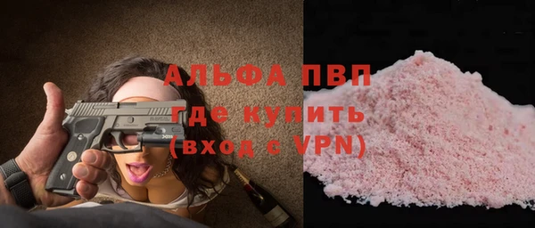 стаф Алексин