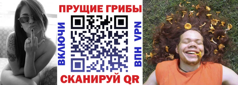 blacksprut как войти  Урюпинск  Галлюциногенные грибы мицелий  купить  цена 